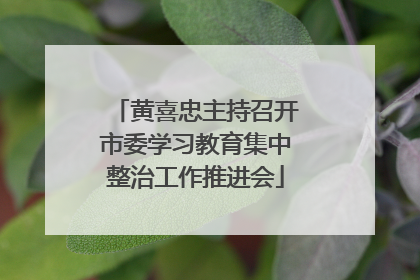 黄喜忠主持召开市委学习教育集中整治工作推进会